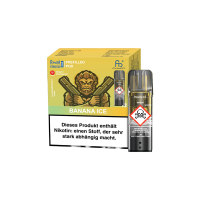 RandM Tornado Pods 2er Pack - Alle Geschmäcker